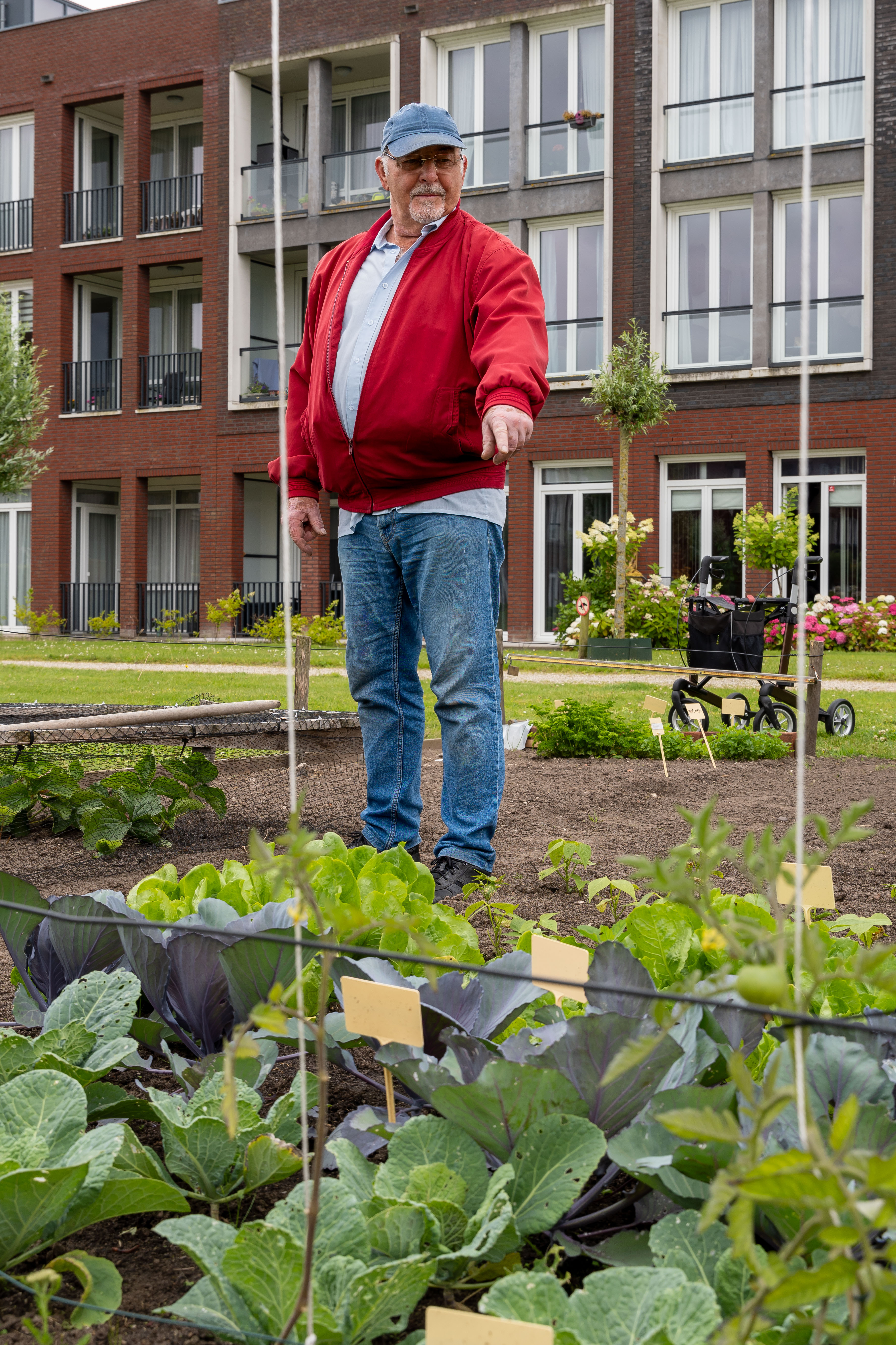 eigen-tuintjes-voor-bewoners-met-groene-vingers 4